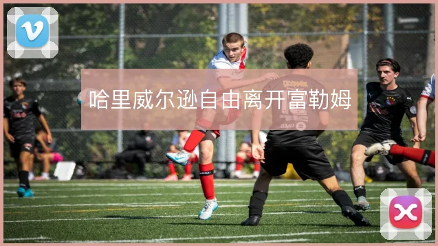 哈里威尔逊自由离开富勒姆
